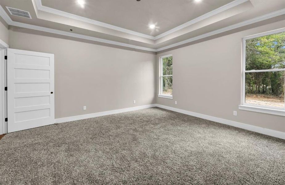 Carpeted spare room featuring a raised ceiling and crown molding