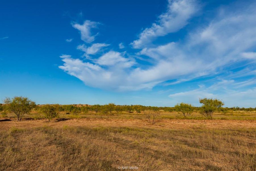 Natural landscape and outdoor views near  in Merkel (Image 18).
