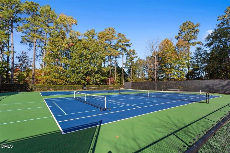 Pickleball and Tennis