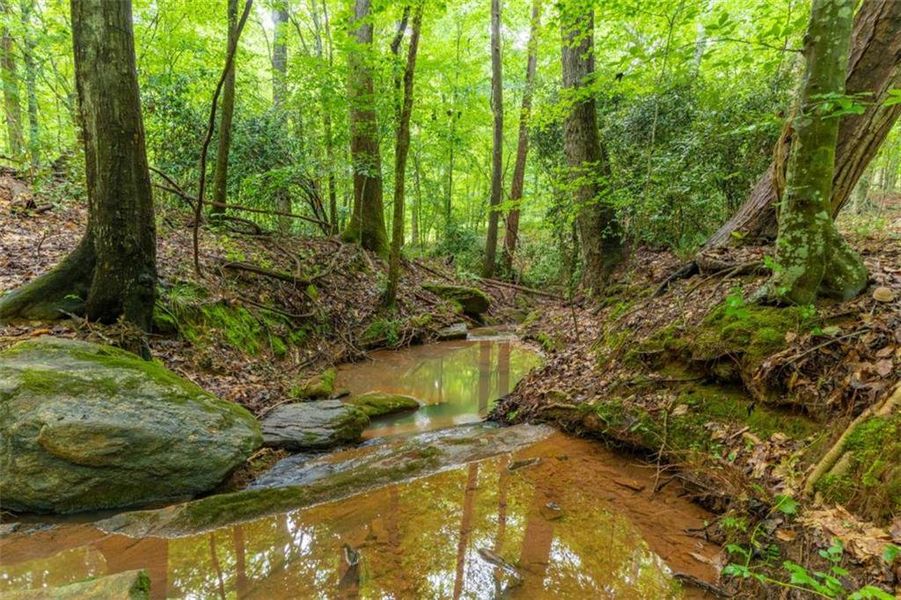 Natural landscape and outdoor views near in Monticello (Image 34). Natural landscape and outdoor views near in Monticello (Image 34).