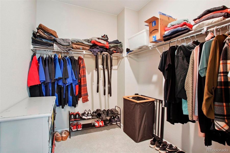 Close-up of interior finishes inside a home in Brighton Crossings, Brighton (Image 26).