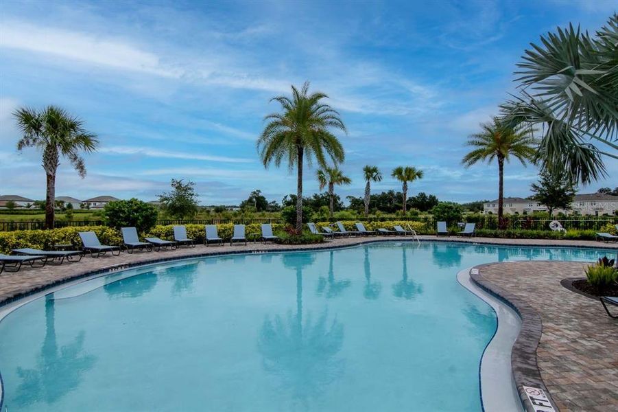 Community amenities in , Wesley Chapel (Image 35).