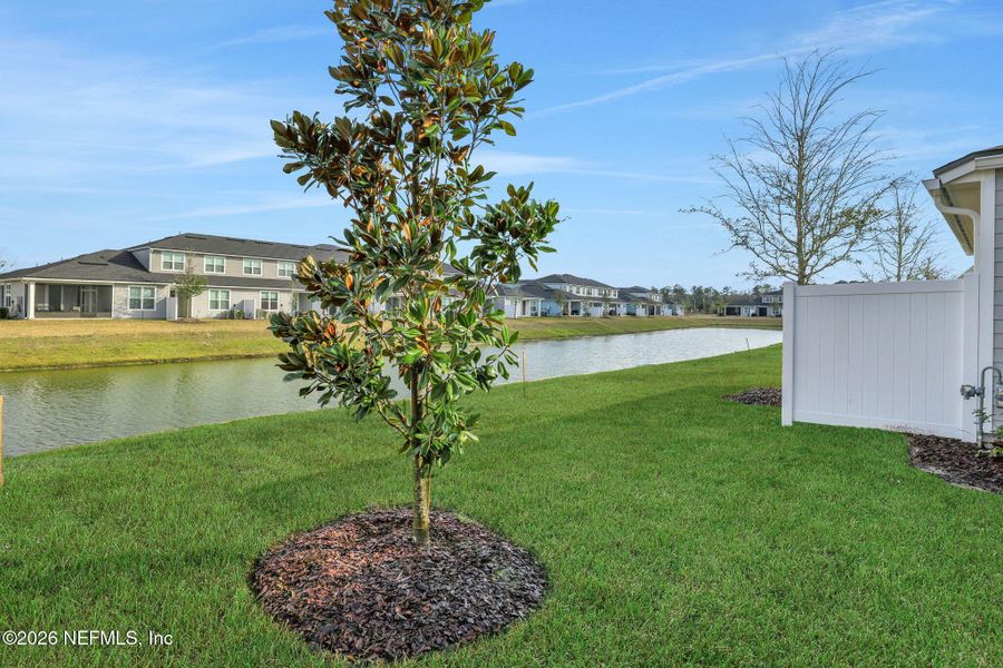 Natural landscape and outdoor views near Cherry Elm at SilverLeaf in St. Augustine (Image 38).