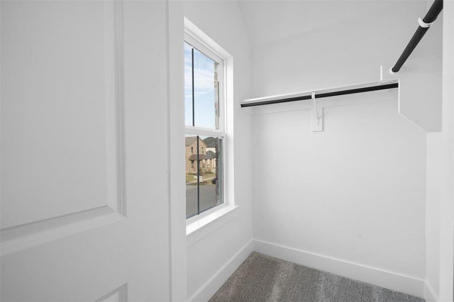 Walk in closet with carpet floors