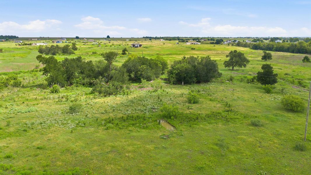 An expansive green landscape with scattered trees, offering pastoral views for a peaceful retreat.