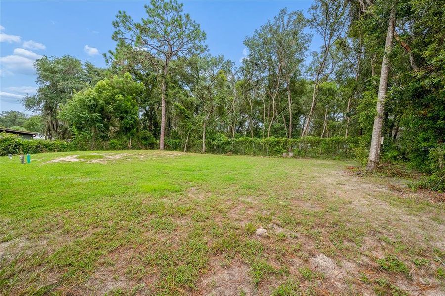 Natural landscape and outdoor views near in Satsuma (Image 32). Natural landscape and outdoor views near in Satsuma (Image 32).