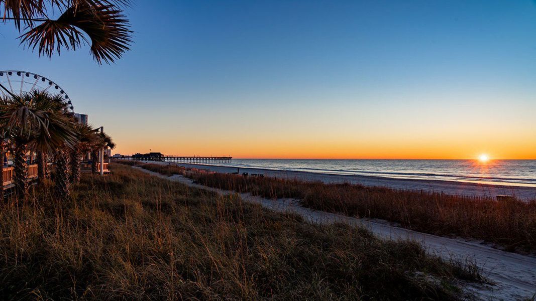 Natural landscape and outdoor views near Winfield Farms in Myrtle Beach (Image 25).