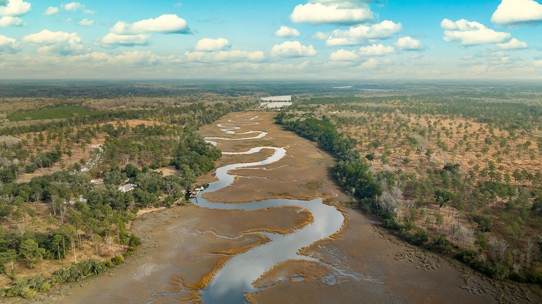 Natural landscape and outdoor views near Rivers Reach in Yemassee (Image 31).