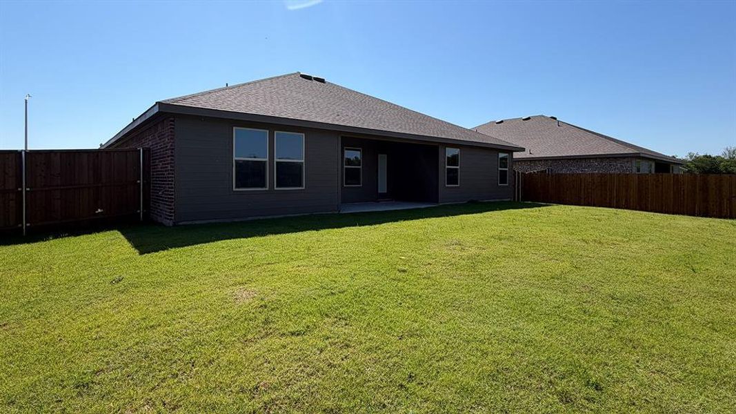 Expansive green lawn with a privacy fence Expansive green lawn with a privacy fence