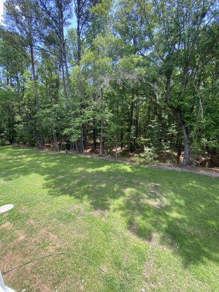 Natural landscape and outdoor views near Waterloo Estates in Johns Island (Image 32).