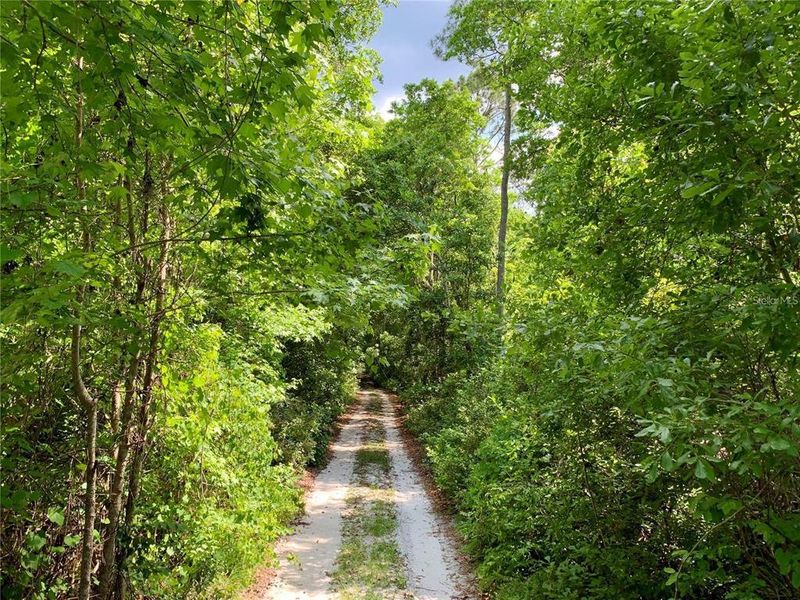 Natural landscape and outdoor views near in Eustis (Image 38). Natural landscape and outdoor views near in Eustis (Image 38).
