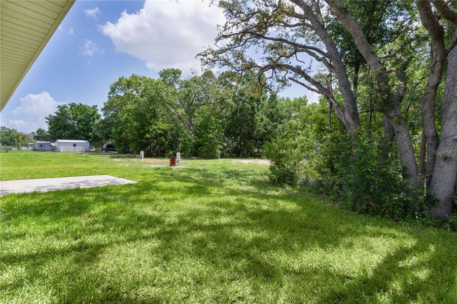 Exterior details and patio area of a home in , Summerfield (Image 18).
