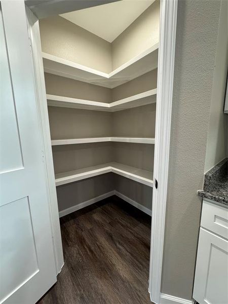 Spacious walk in pantry with plenty of built in shelving