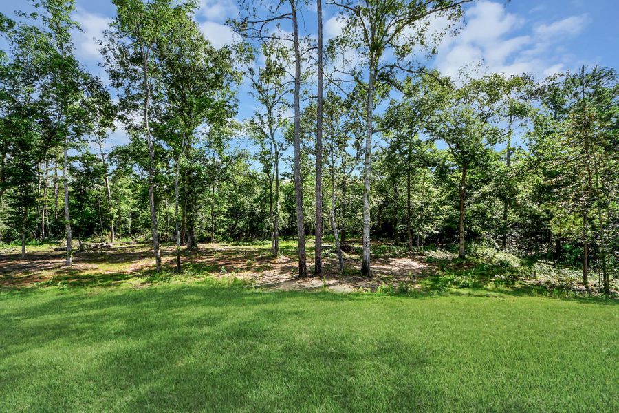 Natural landscape and outdoor views near Oakwood Ranch in Willis (Image 30). Natural landscape and outdoor views near Oakwood Ranch in Willis (Image 30).