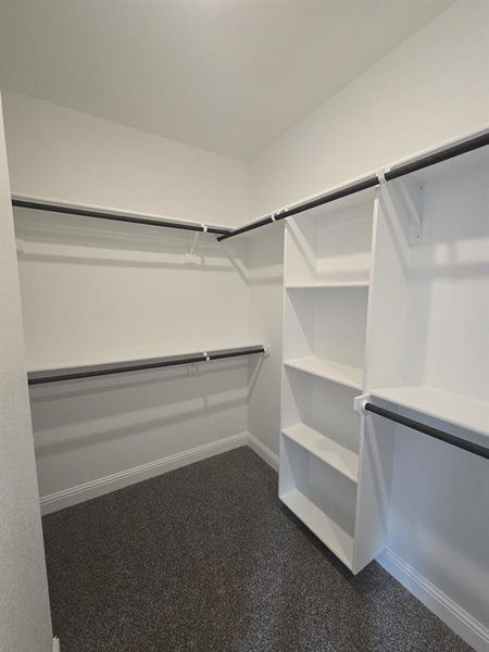 Spacious closet featuring dark carpet
