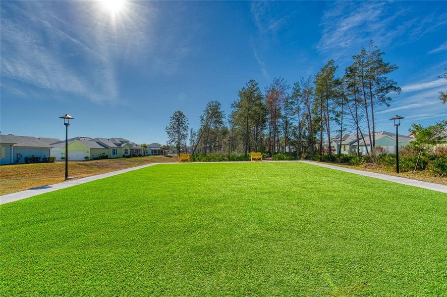 Natural landscape and outdoor views near in Daytona Beach (Image 57). Natural landscape and outdoor views near in Daytona Beach (Image 57).