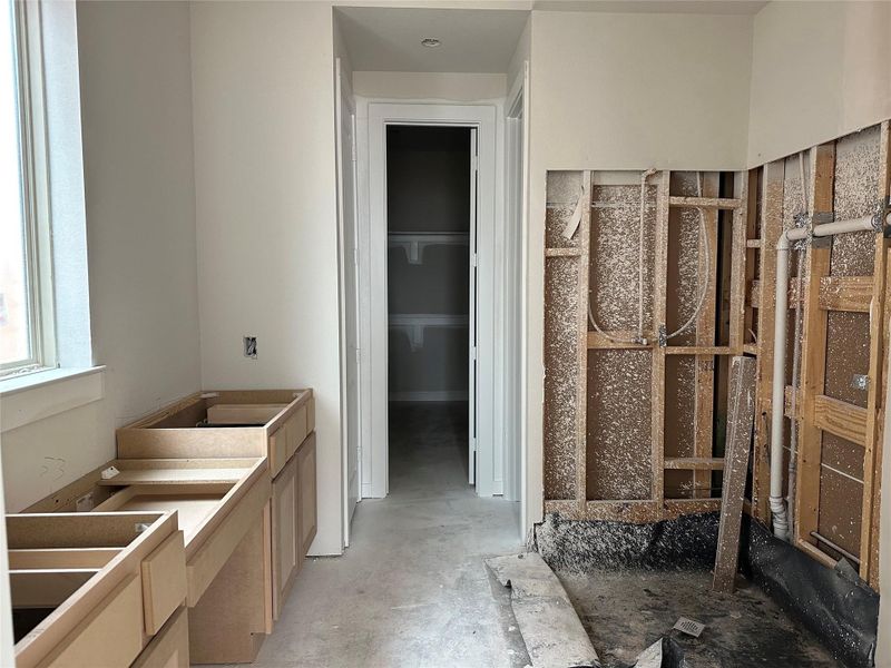 Freestanding tub and shower