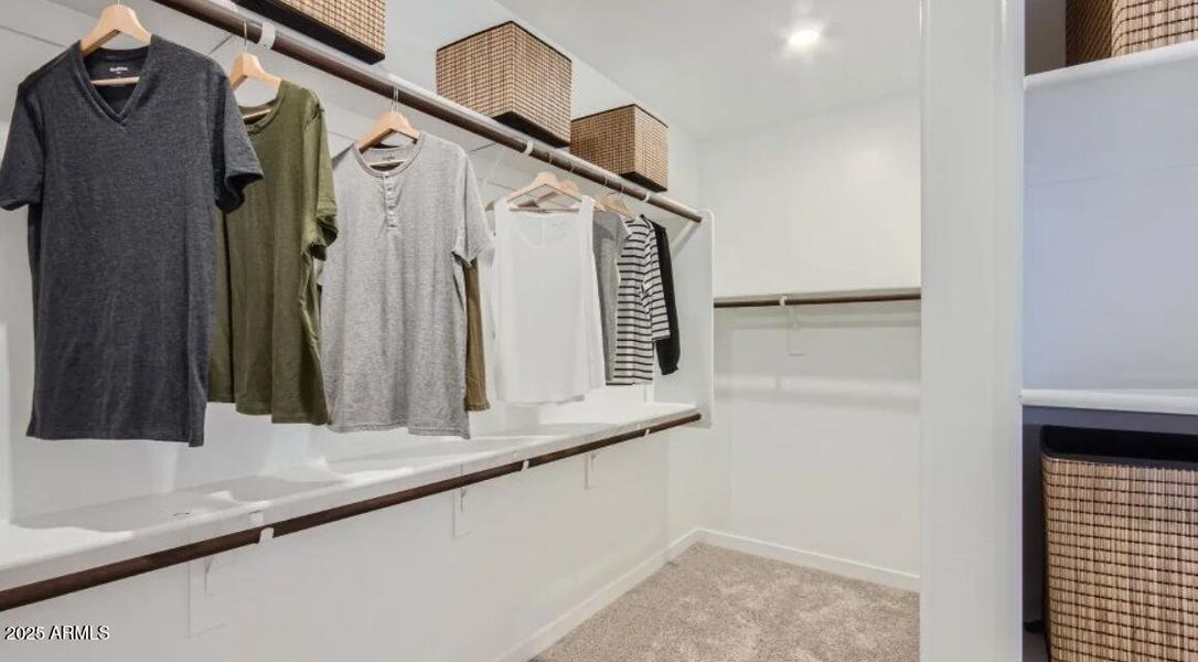 Owners Walk in Closet Owners Walk in Closet