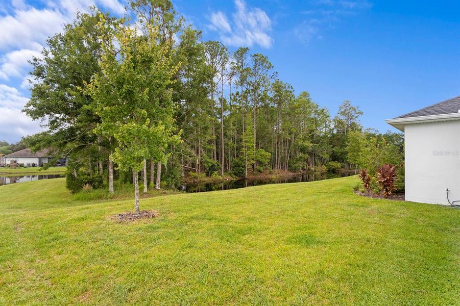 Front exterior of a new home in , Odessa, FL, highlighting curb appeal (Image 2).
