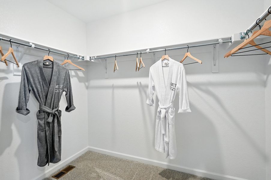 Image 30 representing the Stella Plus by Taylor Morrison in Parterre Horizon Collection, Thornton, CO.