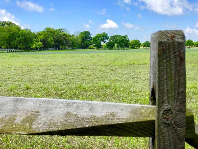 Pasture - so much land - so close in - endless possibilities