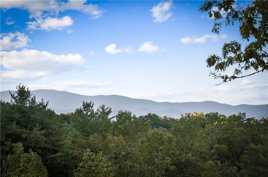 Natural landscape and outdoor views near  in Blue Ridge (Image 27).