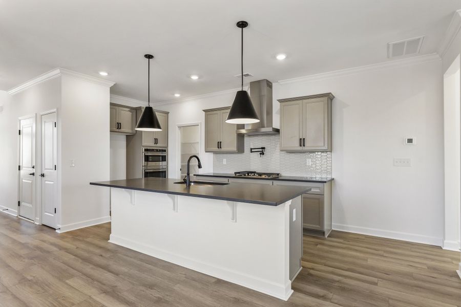 Furnished interior view inside a new home in Lakeside Saluda, Greenville (Image 9).