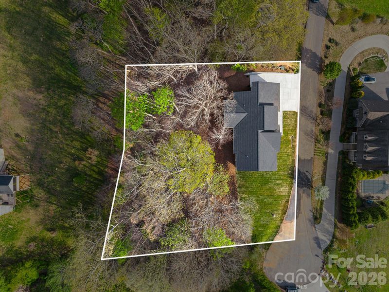 virtually enhanced grass