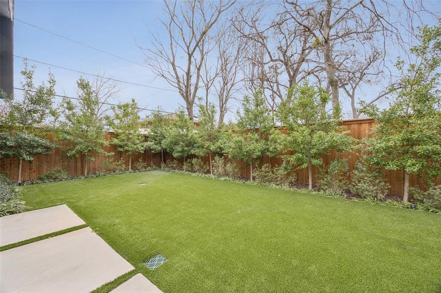 Natural landscape and outdoor views near  in Dallas (Image 38).