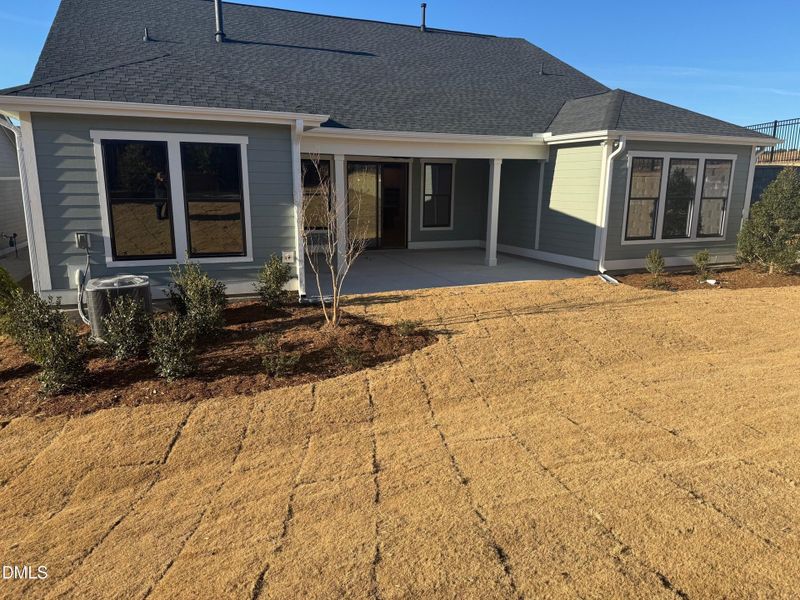 Back of Home Back of Home