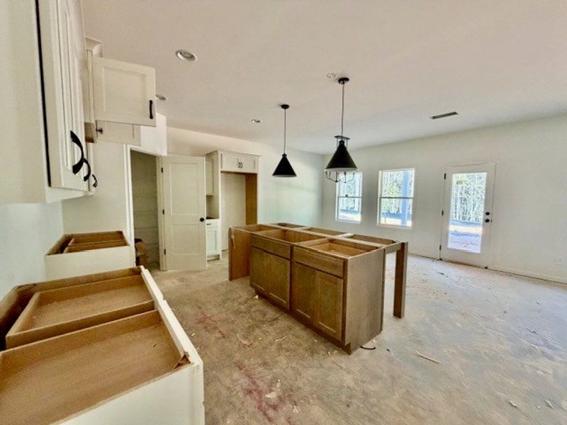 In-progress construction of a new home in Forrest Farms, Greenville, GA (Image 3).