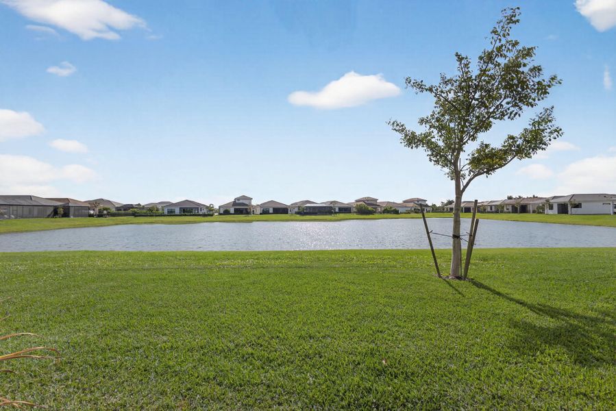 41-web-or-mls-5D1A4508