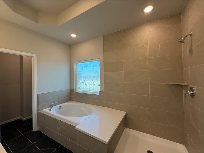 Primary bath - still under construction!