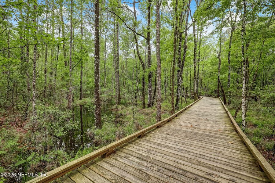 Natural landscape and outdoor views near  in St. Augustine (Image 69).