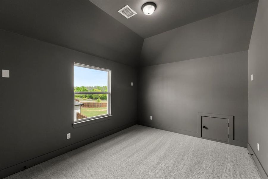 24. 941 Gold Finch - Media