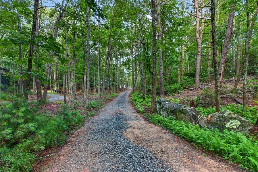 Natural landscape and outdoor views near  in Cherry Log (Image 38).
