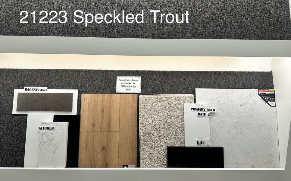 Image 15 of a home in Bridgeland 40'.