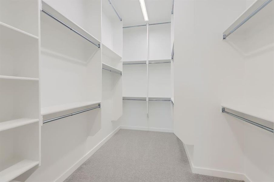 Walk in closet featuring carpet flooring