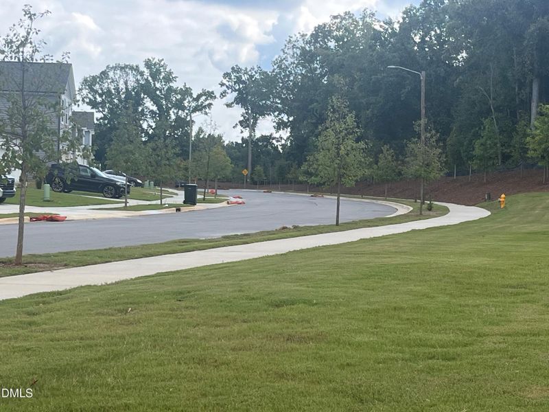Peace river sidewalks