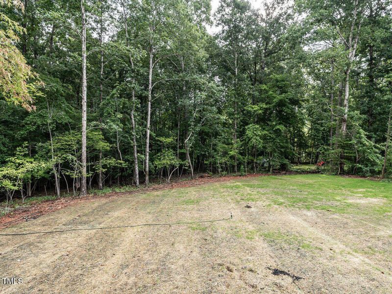 033-1280x960-backyard