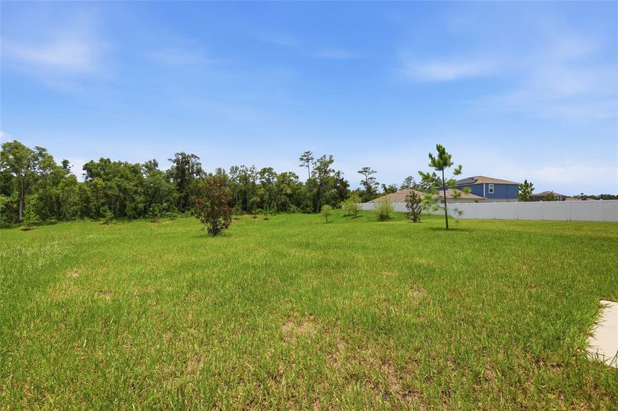 Natural landscape and outdoor views near Oak Hammock in Deland (Image 27). Natural landscape and outdoor views near Oak Hammock in Deland (Image 27).