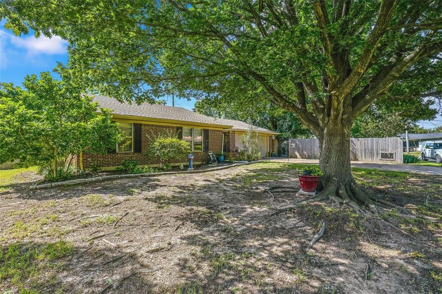 Expansive front yard featuring a large mature tree, brick exterior, dark window shutters, and established landscaping Expansive front yard featuring a large mature tree, brick exterior, dark window shutters, and established landscaping