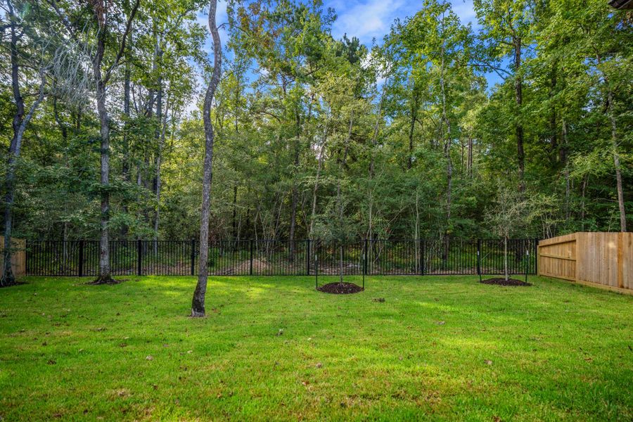 Natural landscape and outdoor views near The Woodlands Hills in Willis (Image 46). Natural landscape and outdoor views near The Woodlands Hills in Willis (Image 46).