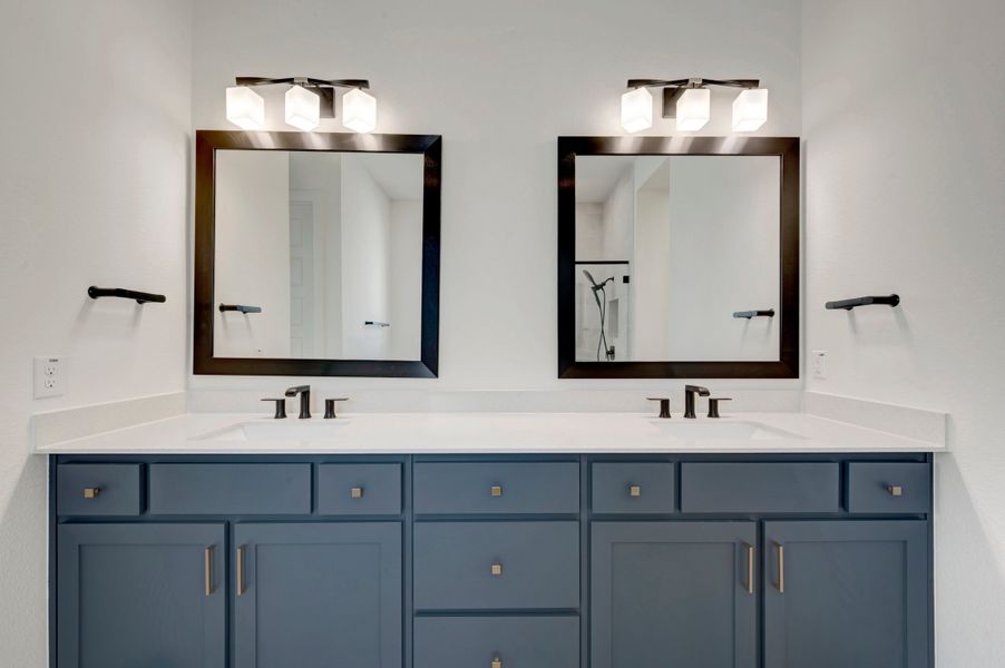 Owner's Bath