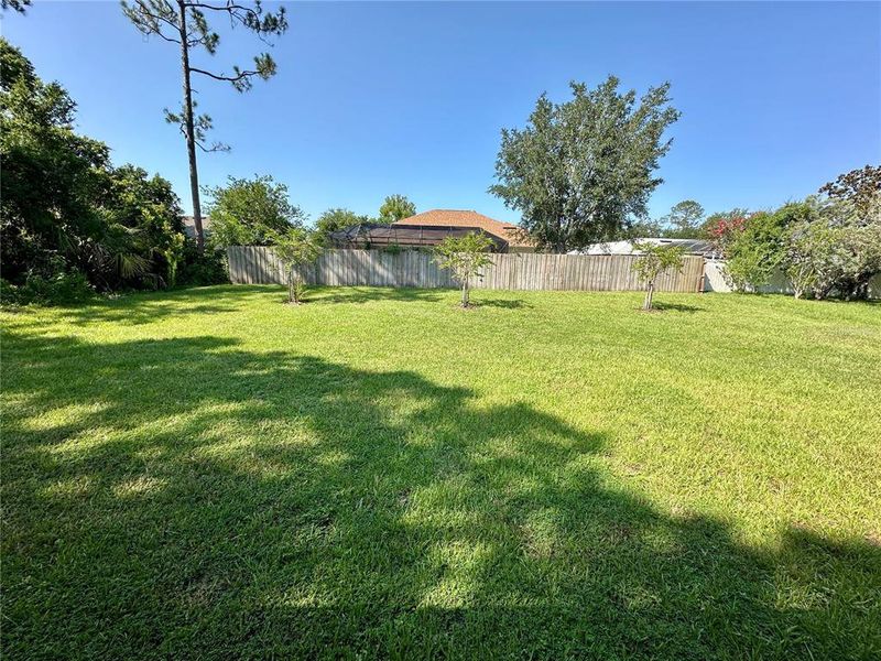 Natural landscape and outdoor views near Palm Coast in Palm Coast (Image 17). Natural landscape and outdoor views near Palm Coast in Palm Coast (Image 17).