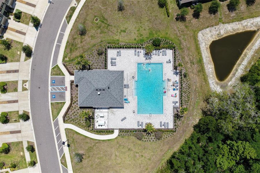 Community amenities in Angeline, Land O' Lakes (Image 30).