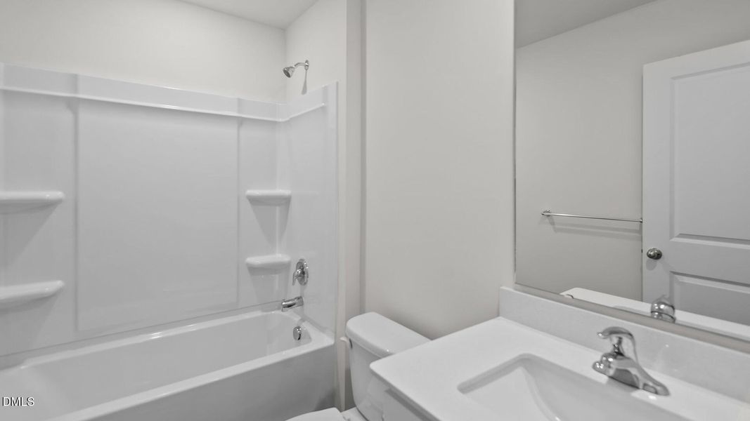 5-web-or-mls-_DSC0300 5-web-or-mls-_DSC0300