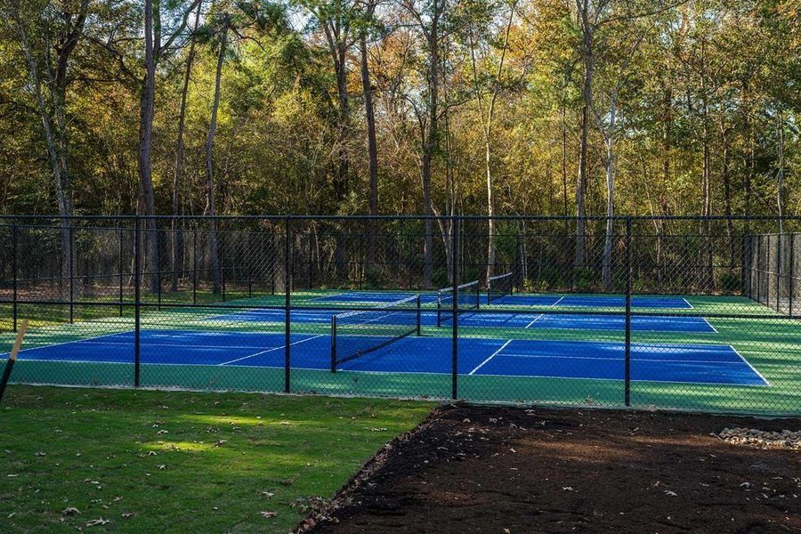 Community amenities in The Highlands Encore - Tranquil Collection, Porter (Image 32).