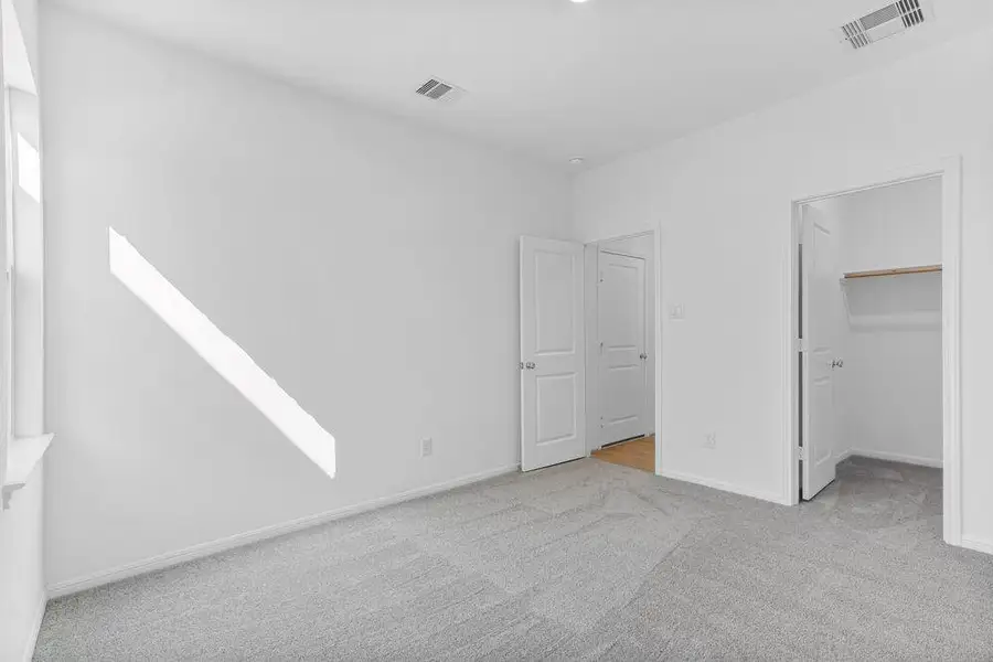 615 Yaupon Holly ~ Ready Now 615 Yaupon Holly ~ Ready Now