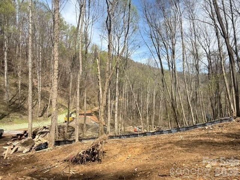 Natural landscape and outdoor views near  in Mars Hill (Image 7).